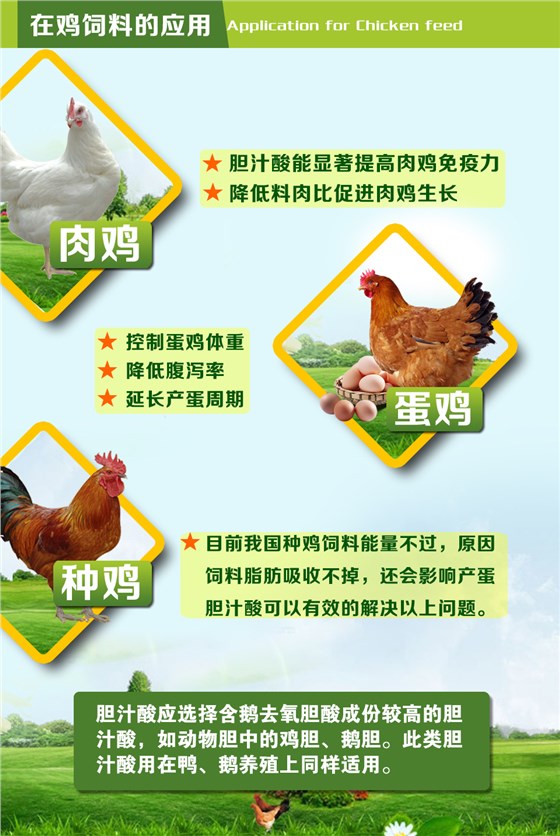 胆汁酸-饲料添加剂鸡的应用