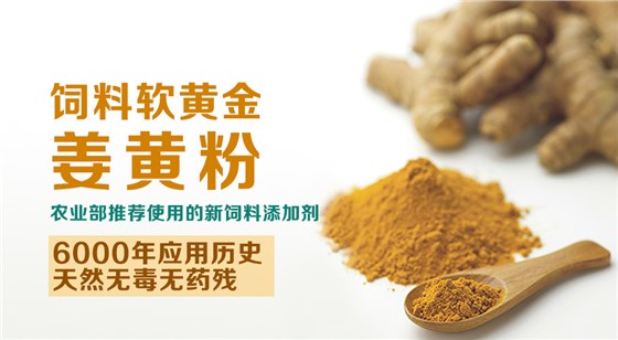 中药油脂粉-姜黄粉饲料添加剂产品展示
