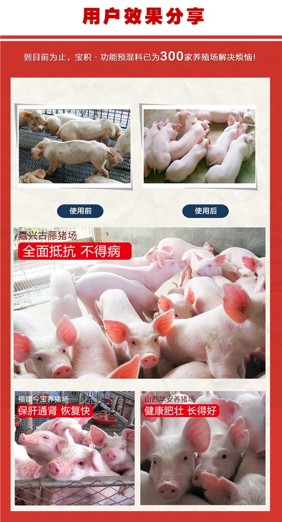 温毒清-仔猪饲料添加剂实际案例