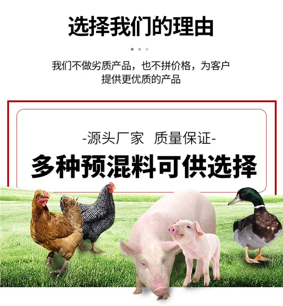 4%仔猪专用预混料_03.jpg