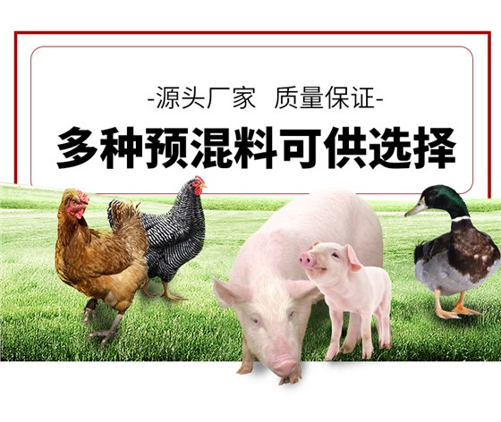 5%哺乳母猪预混料广告_08.jpg