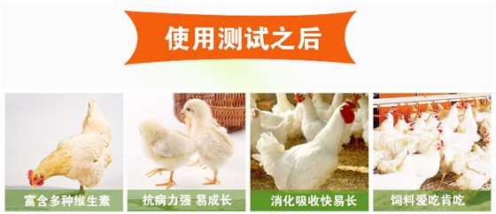 肉鸡安全饲料配置原则