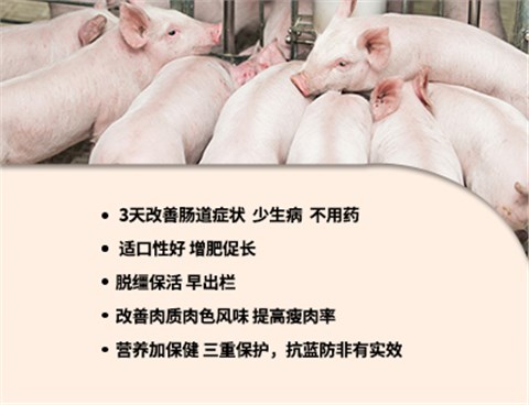 猪用中药发酵饲料