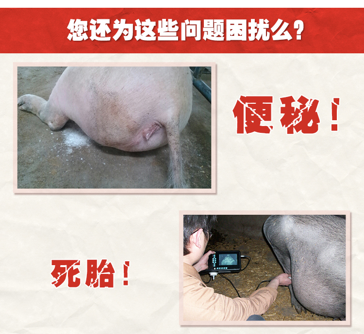 菌衡宝-5‰妊娠母猪饲料添加剂客户症状
