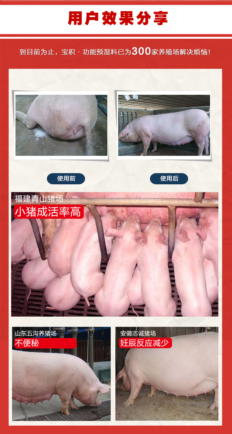 菌衡宝-5‰妊娠母猪饲料添加剂效果