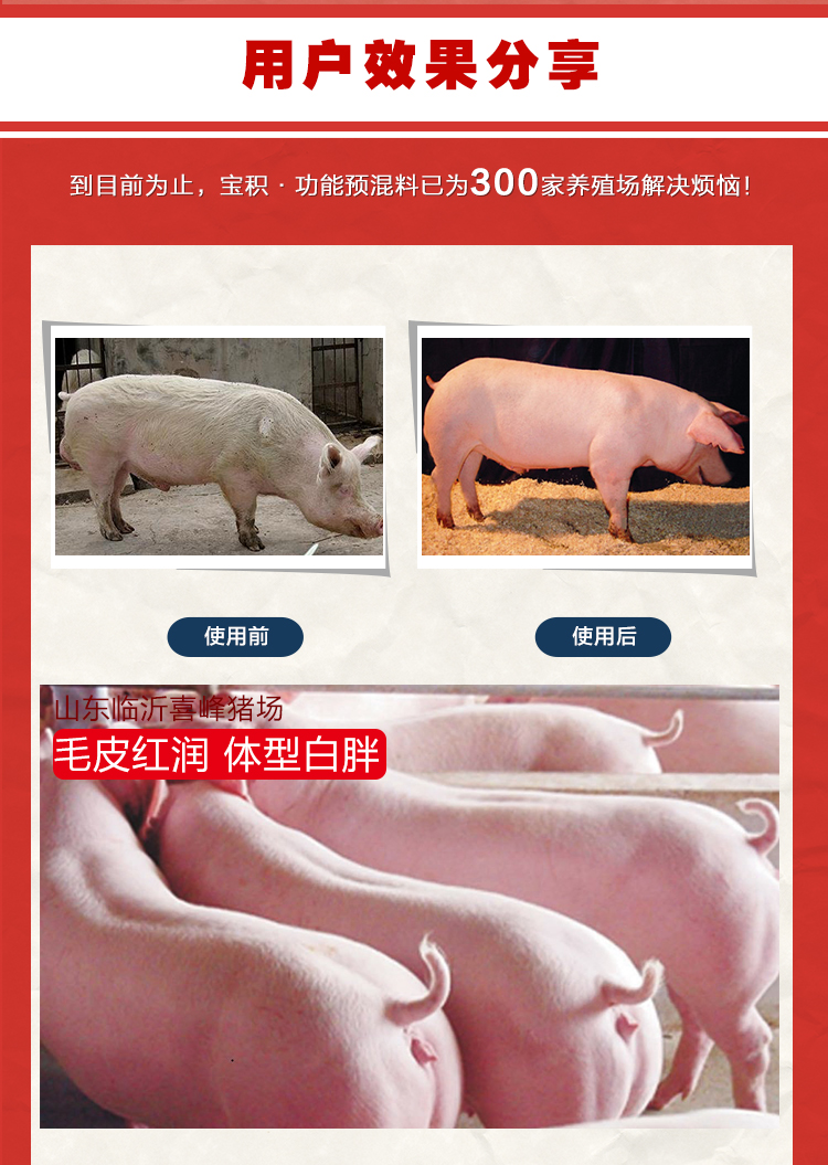 乳消宝-中猪饲料添加剂实际案例