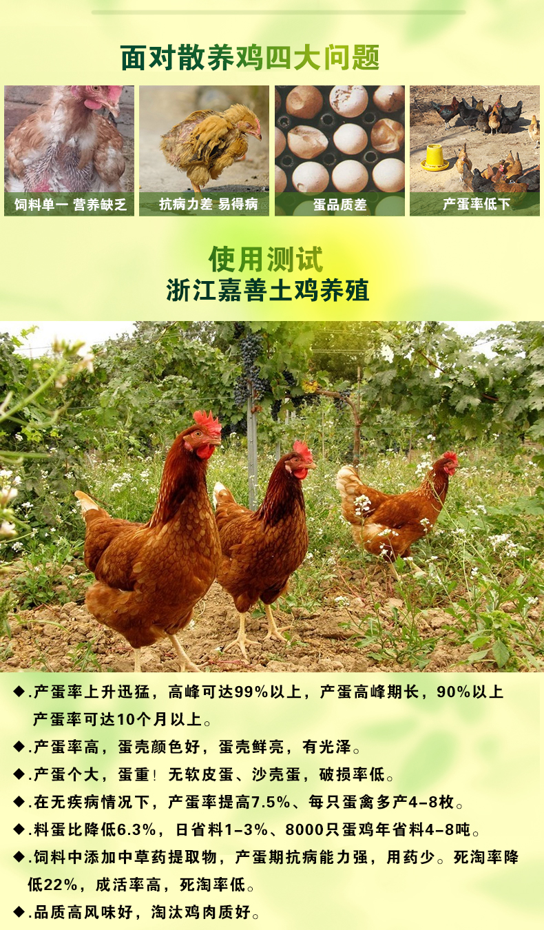 土鸡产品详情页_05.jpg