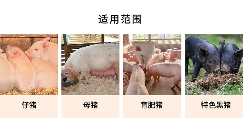 猪用中药发酵饲料